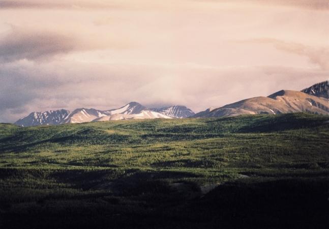Alaska Denali Scene